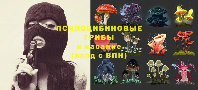 закладка  Муравленко  мега сайт  Галлюциногенные грибы MAGIC MUSHROOMS 